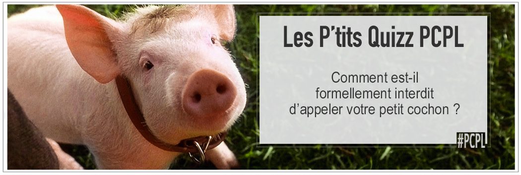 screenshot babe le petit cochon pour illustrer le p'tit quizz pcpl dédié à la loi interdisant d'appeler son cochon napoleon