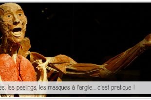 ecorché de fragonnard pour illustrer l'article #PCPL dédié aux tanneries de peau humains sous la révoltuition francaise