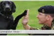 chien soldat, armée francaise, armée britannique pour illustrer l'article PCPL dédié à l'utilisattion des animaux en temps de guerre