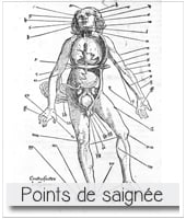 dessin anatomique montrant les points de saignée pour illustrer l'article PCPL sur le sujet
