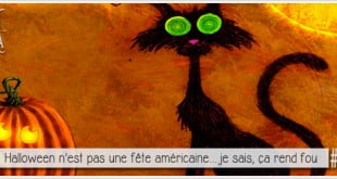 tableau d'un chat noir aux yeux exorbités pour illustrer l'article PXPL par ci par là dédié aux origine de Halloween et du Samhain