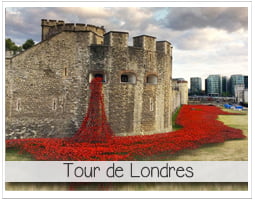 flots de coquelicots se deversant de la tour de Londres pour commémorer le centenaire de la première guerre mondiale