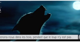 pleine lune et loups garous pour illustrer l'article PCPL dédié à la ycanthropie dans les annales de la juctice francaise