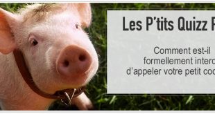 screenshot babe le petit cochon pour illustrer le p'tit quizz pcpl dédié à la loi interdisant d'appeler son cochon napoleon