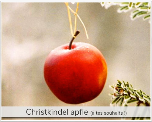 cristkindel apfle, pomme rouge de noel alsacienne initialement utilisée pour décorer le sapin de noel